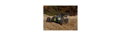Basher BSR BZ-888 1.8 4WD Racing Buggy