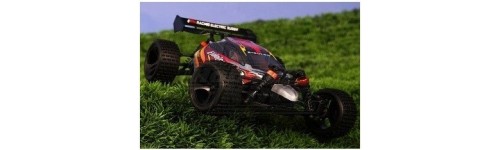 Racing Buggy 1:18 Scale 4WD