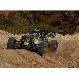 Basher BSR BZ-888 1.8 4WD Racing Buggy (RTR)